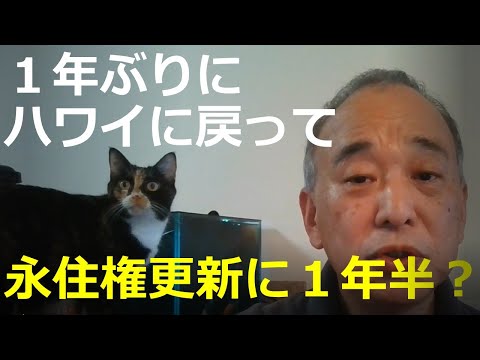 1年ぶりにハワイに戻って：永住権の更新に１年半かかる？