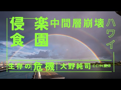 楽園の侵食：ハワイ中間層の崩壊 エクスポート