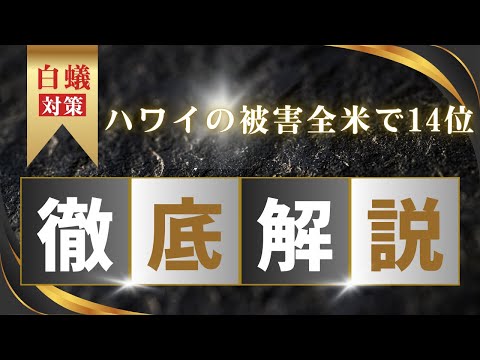 ハワイのシロアリ対策：被害額は全米で14遺